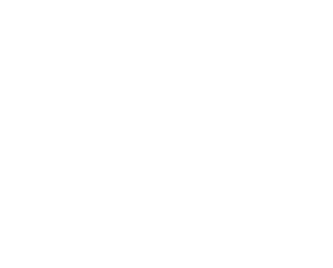 Sundreball logo